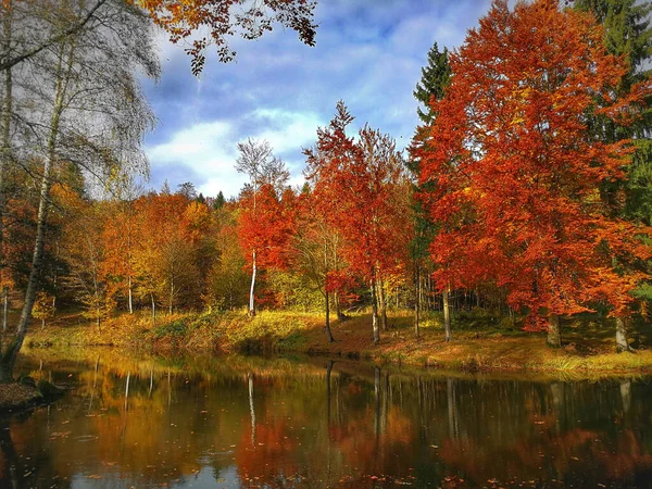 Odraz Červených Stromů Průzračném Jezeře Uprostřed Podzimu — Stock fotografie