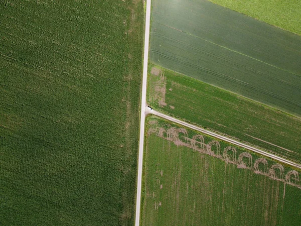 Воздушный Кадр Зеленых Белых Полей — стоковое фото