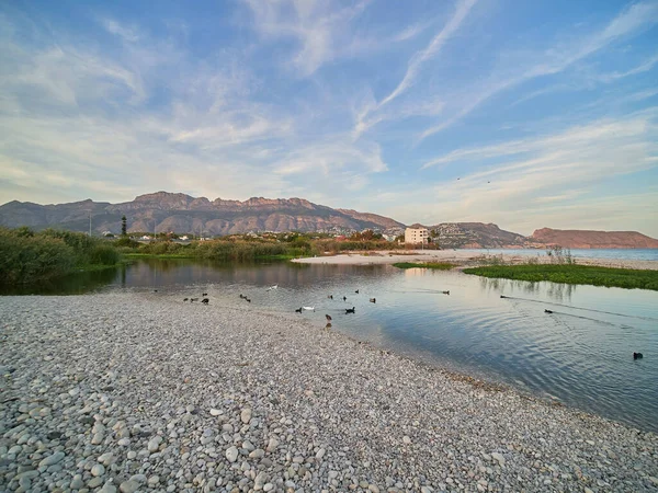 曇りの空を背景に 丘や建物のある川の水のアヒルの群れ — ストック写真