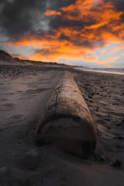在令人叹为观止的夕阳西下的沙滩上的一张垂直的圆木照片 — 图库照片