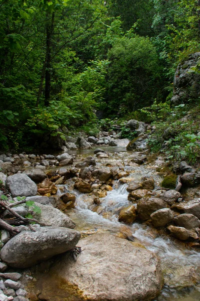 Μια Κάθετη Βολή Ενός Μικρού Ποταμού Που Περιβάλλεται Από Πράσινο — Φωτογραφία Αρχείου