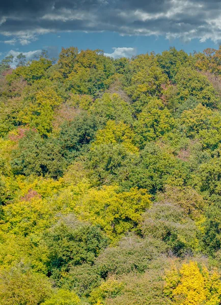 Een Verticaal Shot Van Een Herfstlandschap Met Kleurrijke Bomen — Stockfoto