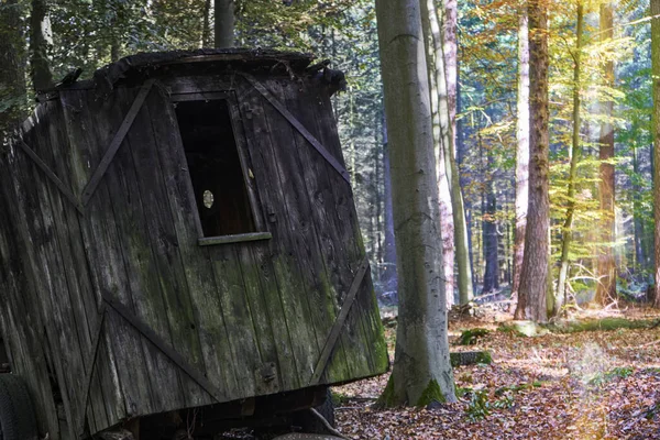 Abandoned Rustic Outhouse Woods Next Trees Trunk Dry Leave — Stockfoto