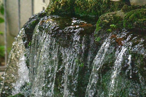 Shallow Focus Waterfall Descending Mossy Green Surface Forest — Stockfoto