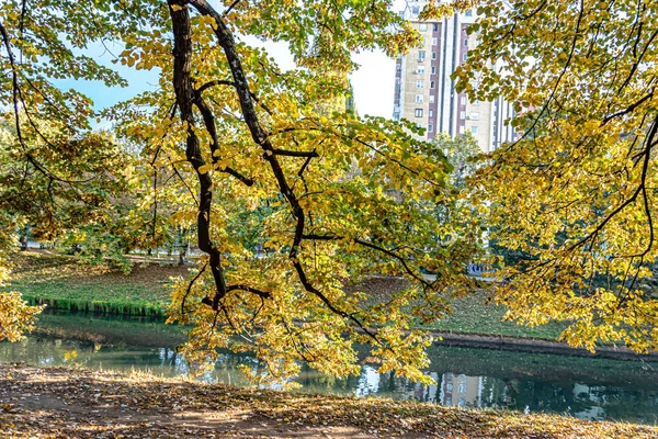 Zlatý Podzim Vilsonově Promenádním Parku Bosně Hercegovině — Stock fotografie