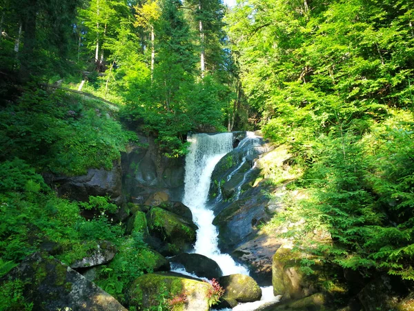 Egy Varázslatos Kép Egy Varázslatos Vízesésről Sűrű Gyönyörű Erdőben — Stock Fotó