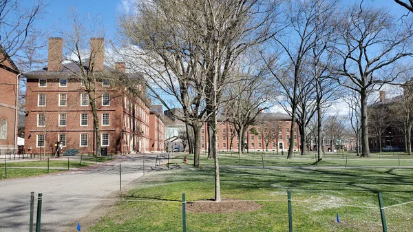 Una Hermosa Toma Universidad Harvard Cambridge — Foto de Stock