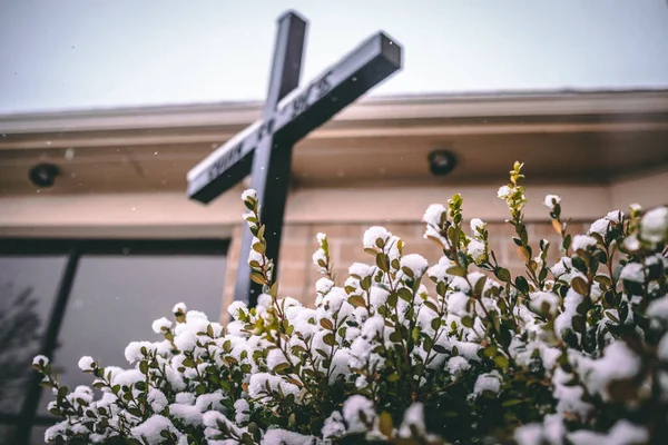 Selektywny Krzak Pokryty Śniegiem Pod Krzyżowym Posągiem — Zdjęcie stockowe