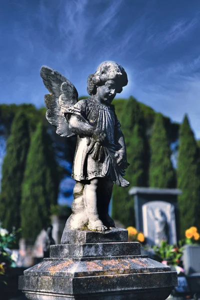 Selective Focus High Contrast Shot Stone Angel Statue Graveyard Tall — Stock Photo, Image