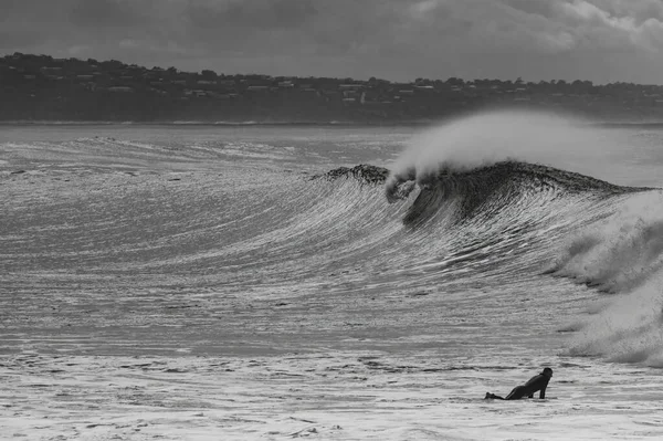 Surfista Apanhar Grande Onda Mar — Fotografia de Stock