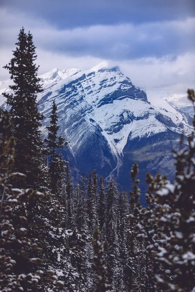 モミの森と山の雪の山の魅惑的な景色 — ストック写真