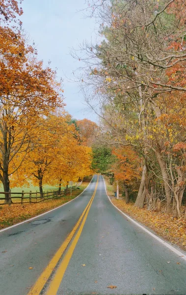 Een Prachtig Uitzicht Weg Met Herfstbomen — Stockfoto