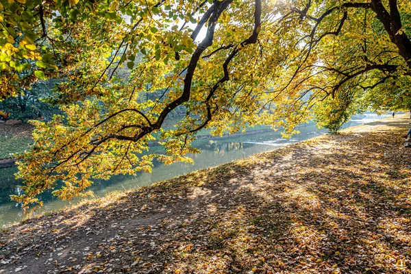 Golden Autumn Vilson Promenade Park Bosnia Herzegovina — Stock Photo, Image