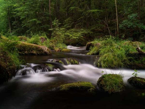 Beautiful View River Water Stream Motion Forest Mossy Rocks Lush — Stockfoto