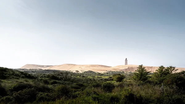 Old Tower Desert Seen Vast Meadow — Fotografia de Stock