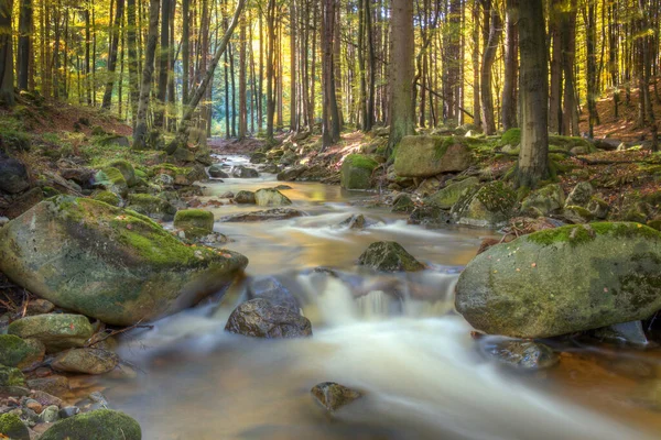 Dlouhý Záběr Potoka Tekoucího Mechem Porostlých Skalách Divokých Lesích — Stock fotografie