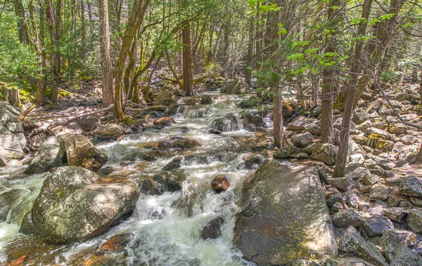 Beautiful View Small Stream Rocks Forest Trees — Fotografia de Stock