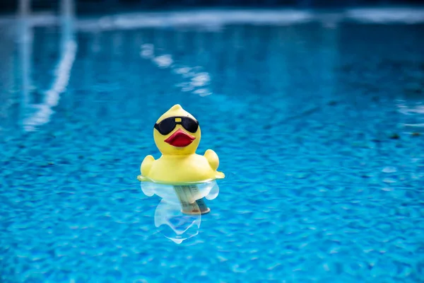 A funny rubber duck floating in a pool