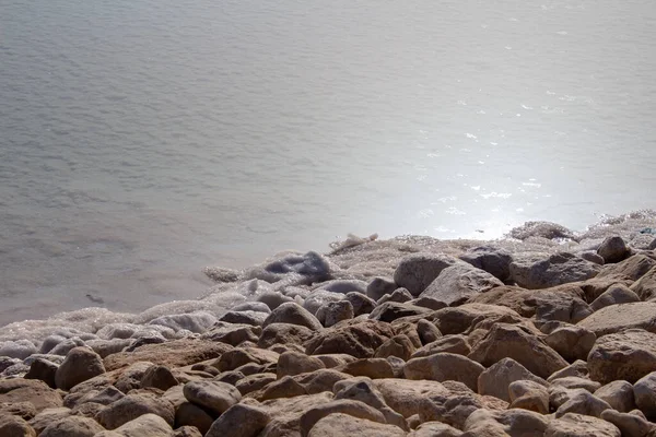 Βραχώδης Ακτογραμμή Της Νεκρής Θάλασσας Μια Ηλιόλουστη Μέρα — Φωτογραφία Αρχείου