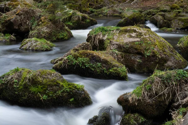 Řeka Vodní Tok Pohybu Lese Mechem Skály — Stock fotografie