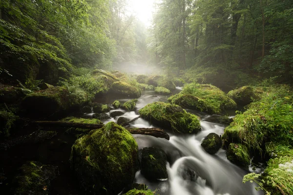 Une Belle Vue Sur Ruisseau Fluvial Mouvement Dans Forêt Avec — Photo