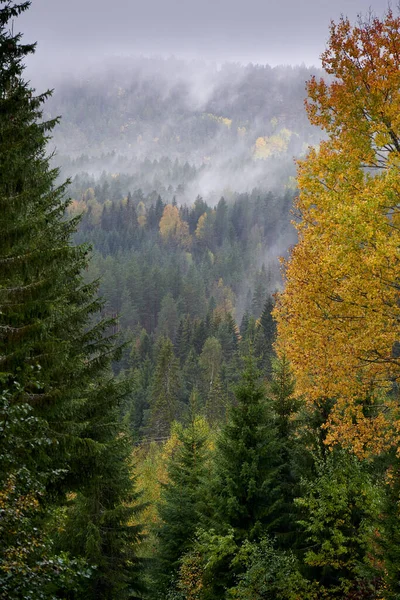 Kolorowe Mgliste Zdjęcie Jesiennego Krajobrazu Niedaleko Honefoss Norwegia — Zdjęcie stockowe