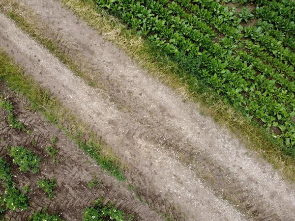 Снимок Воздуха Зеленых Белых Полей — стоковое фото