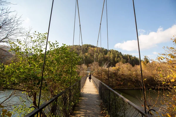 Μια Όμορφη Θέα Μιας Γέφυρας Προβλήτας Μεταλλικό Φράχτη Μια Λίμνη — Φωτογραφία Αρχείου