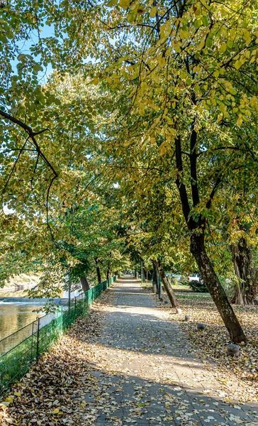 Золотая Осень Вилсоновском Набережном Парке Боснии Герцеговине — стоковое фото