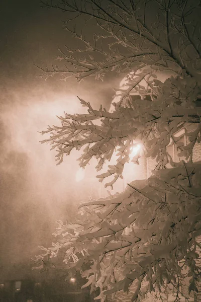 Ein Flacher Blick Auf Einen Winter Schneebedeckten Baum Abend — Stockfoto