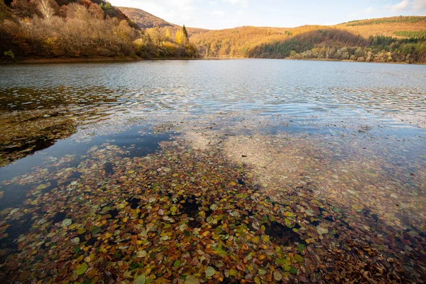 湖の水の下に紅葉し 水面に浮かぶカラフルな秋の景色 — ストック写真