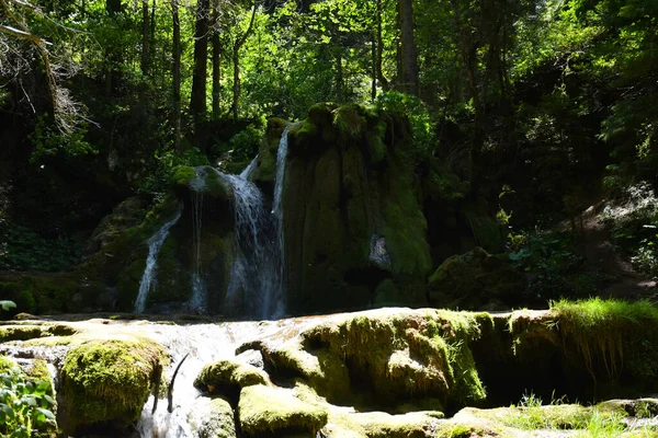 Egy Kis Gyönyörű Vízesés Amit Fák Vesznek Körül Erdőben Egy — Stock Fotó