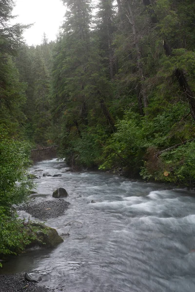 Anchorage Alaska Çevreleyen Orman Manzarasında Bir Nehir — Stok fotoğraf