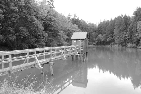 湖に行く木製の桟橋の美しい景色 博士に囲まれて — ストック写真