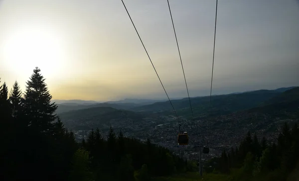 Une Allée Dessus Forêt Avec Beaux Conifères Coucher Soleil — Photo