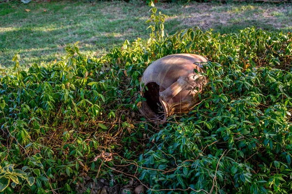 Una Olla Rota Yaciendo Sobre Hierba Jardín — Foto de Stock