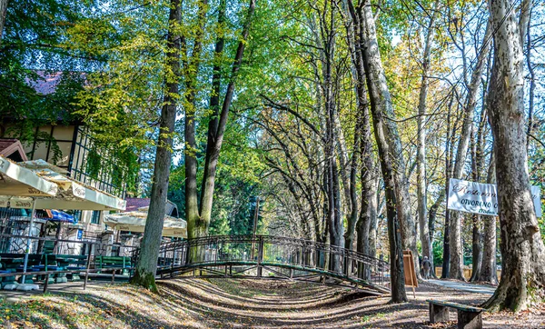 Золотая Осень Грейт Лейн Боснии Герцеговине — стоковое фото