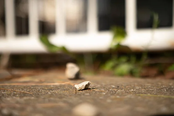Μια Επιλεκτική Φωτογραφία Εστίασης Μιας Πέτρας Στο Πεζοδρόμιο — Φωτογραφία Αρχείου
