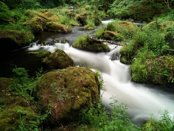 Gyönyörű Kilátás Nyílik Folyó Vízfolyására Mozgásban Erdőben Mohás Sziklákkal Buja — Stock Fotó