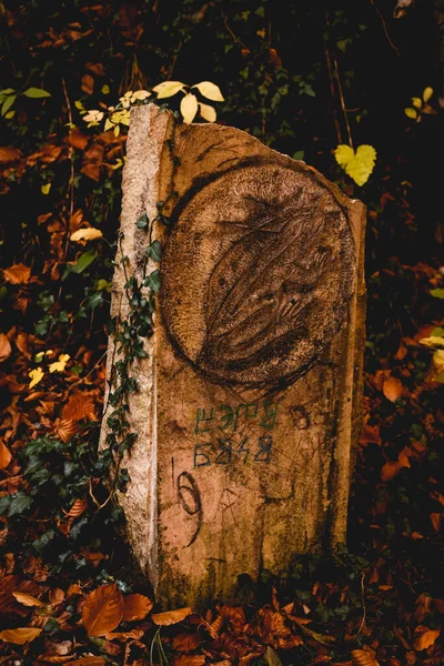 Sonbahar Parkında Eski Bir Dikilitaş — Stok fotoğraf