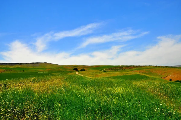 Μια Όμορφη Σκηνή Από Πράσινα Λιβάδια Συννεφιασμένο Ουρανό Στον Ορίζοντα — Φωτογραφία Αρχείου