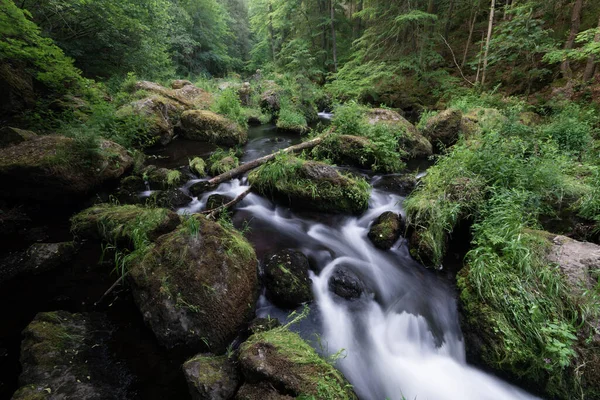 Krásný Výhled Říční Potok Pohybu Lese Mechem Porostlými Skalami Bujnými — Stock fotografie