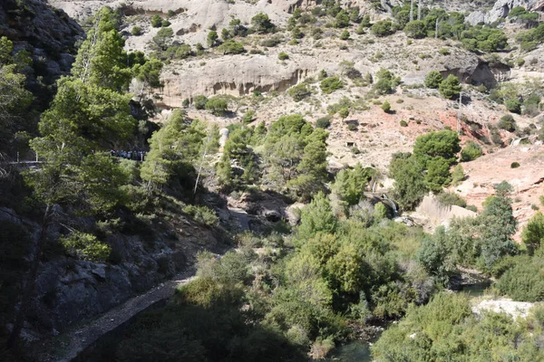 Une Belle Vue Sur Forêt Sauvage Montagne Avec Des Arbres — Photo