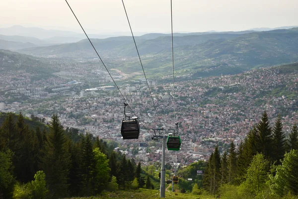 Ropeway Forest Beautiful Green Coniferous Trees Daytime — Foto Stock