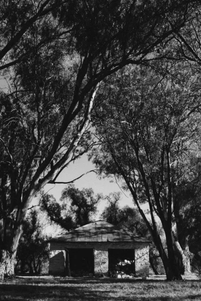 Prachtig Uitzicht Een Oud Gebouw Het Veld Met Bomen — Stockfoto