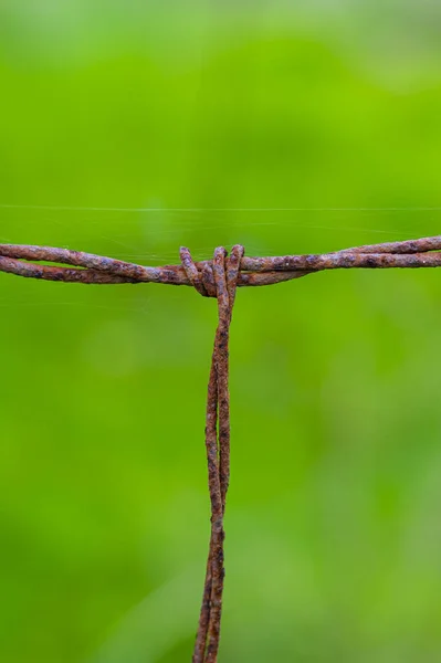 Closeup Shot Old Rusty Wire Vibrant Green Background — Foto Stock