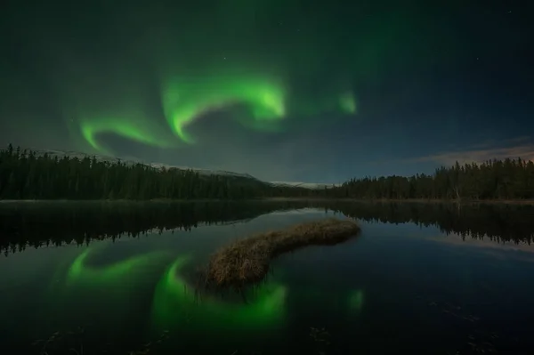 Una Splendida Vista Delle Luci Aurora Nel Cielo Notturno Norvegia — Foto Stock