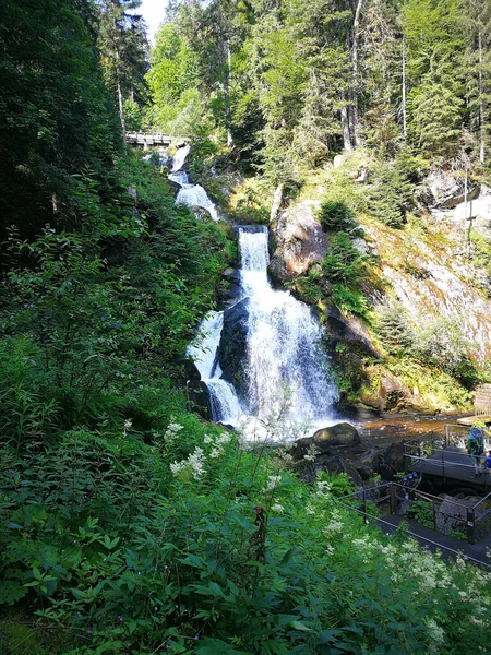 Pionowe Ujęcie Wodospadu Gęstym Pięknym Lesie — Zdjęcie stockowe