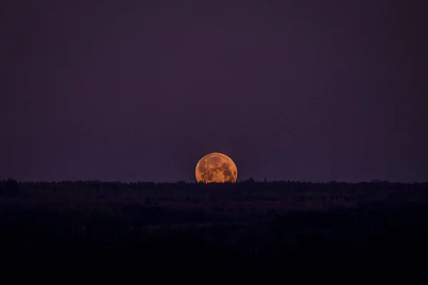Une Belle Scène Une Nuit Pleine Lune — Photo