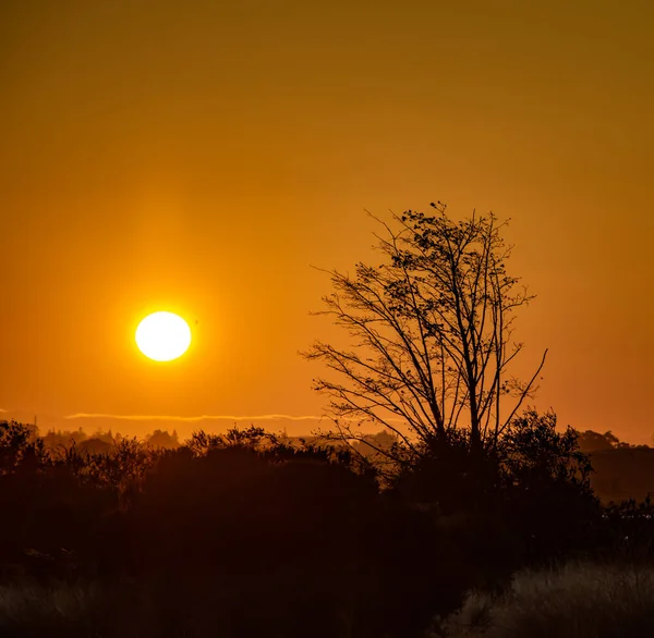 Fascinerande Bild Solnedgång — Stockfoto